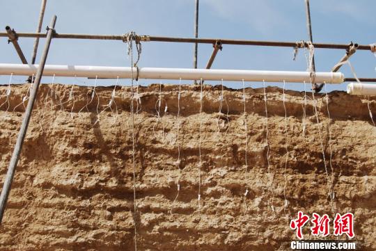 圖為嘉峪關長城布滿針管，“輸液”掛吊瓶。實施該保護方法是對土質較為疏松墻體采用輸液形式，注入防風化材料，提高滲透深度，提升墻體密實度。(資料圖) 鐘欣 攝