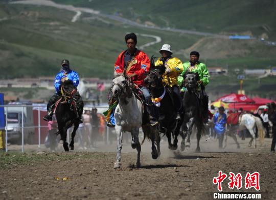 圖為來自甘、青、寧等地的選手參加抓喜秀龍鎮賽馬節?！〈蘖?攝