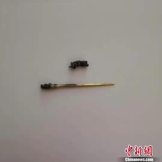 圖為墓葬中已出土的金器。連吉林供圖