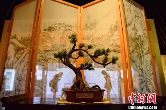 “萊溪華寶——翁氏家族舊藏繪畫展”。上海博物館 供圖