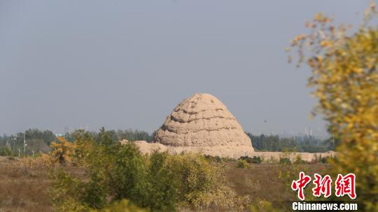 西夏陵遺址?！∮诰?攝