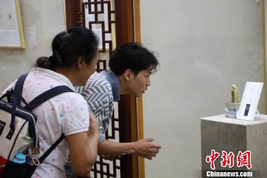 2019亞洲篆刻藝術名家作品邀請展在成都開展