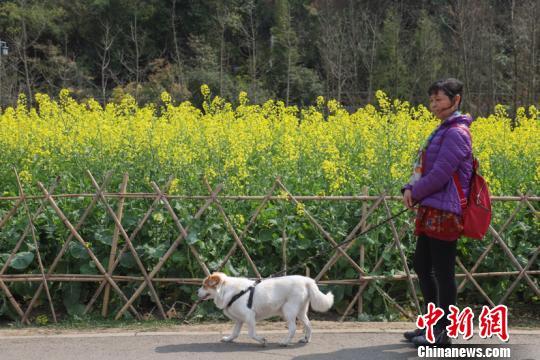 點擊進(jìn)入下一頁