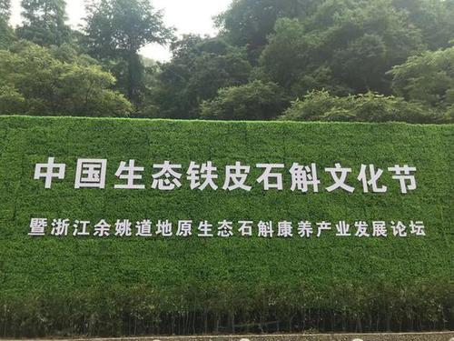 中國生態石斛文化節暨道地原生態石斛康養論壇在寧波召開