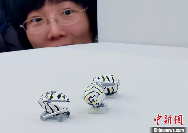 意大利女藝術家維奧莉特？梅拉德的作品 杜洋 攝