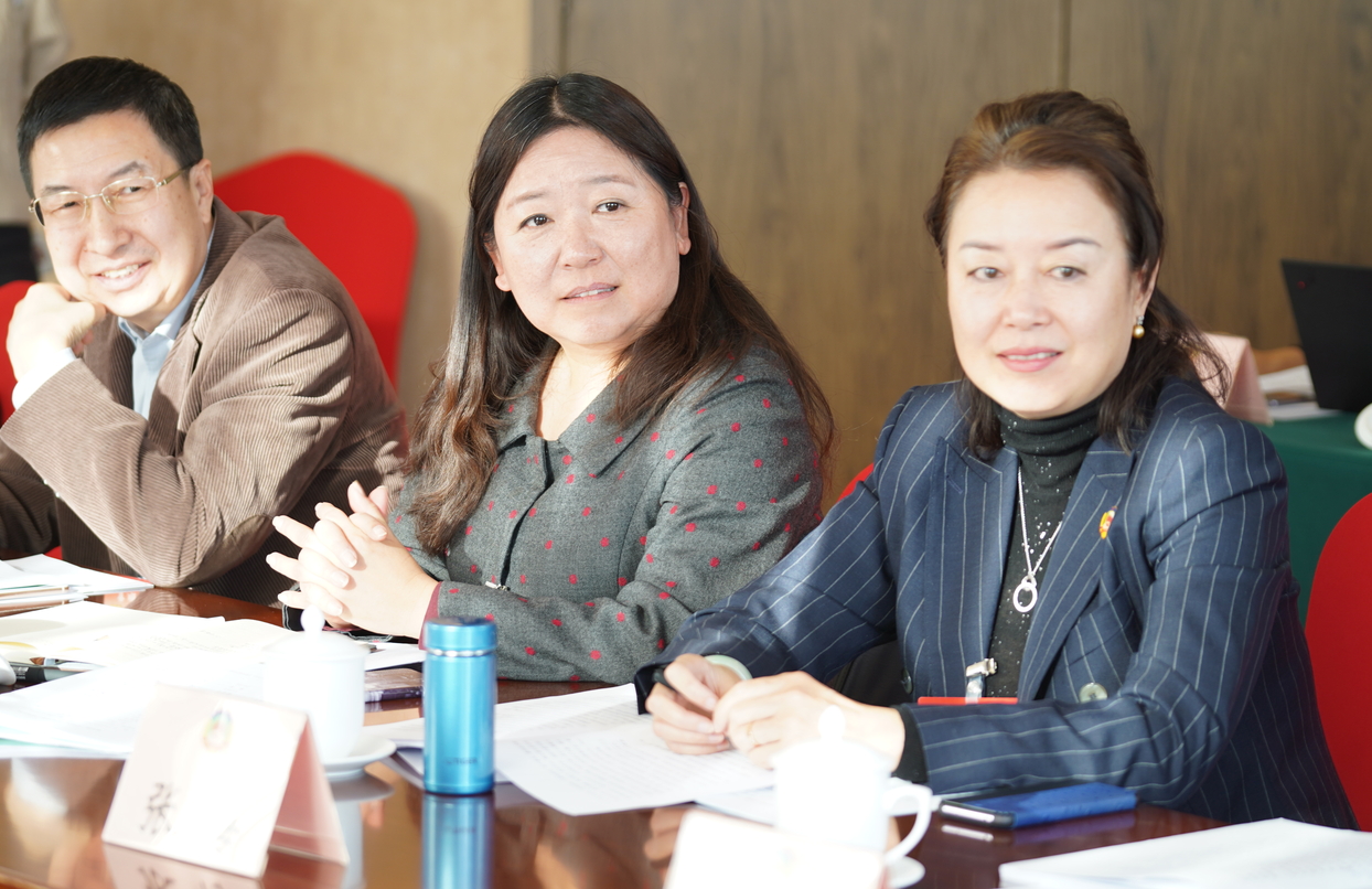 北京市海淀區政協十屆四次會議分組討論現場
