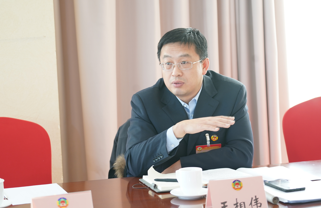 海淀區政協委員，人民政協報社黨組書記、社長王相偉在分組討論現場發言
