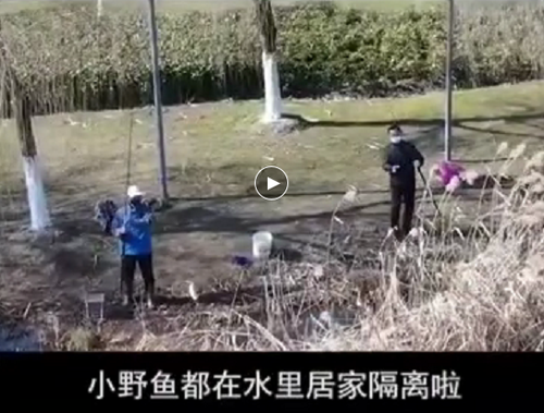 小野魚