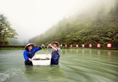 圖為三穗縣臺烈鎮寨頭村大閘蟹生態養殖基地，村民露出收獲的喜悅。