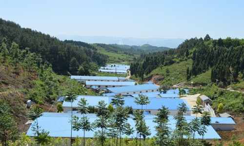 溫氏精準(zhǔn)扶貧養(yǎng)殖基地