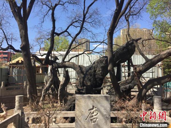山西挖掘歷史名人資源以文化力量滋養城市靈魂