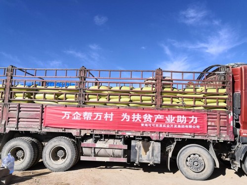 可可西里集團(tuán)收購(gòu)青稞裝車現(xiàn)場(chǎng)