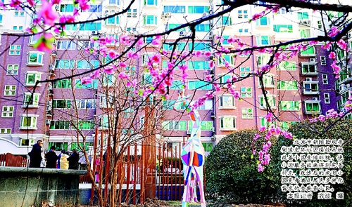 北京市朝陽區(qū)雙井街道光環(huán)社區(qū)通過系統(tǒng)改善小區(qū)生活環(huán)境，使小區(qū)服務(wù)設(shè)施得到完善補(bǔ)充，改造后的老舊小區(qū)變身滿足居民多樣化需求的全要素小區(qū)。    本報(bào)記者  齊波  攝