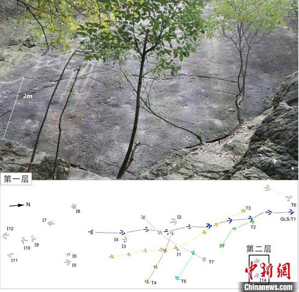 重慶發(fā)現(xiàn)亞洲保存最好的侏羅紀卡巖塔足跡群