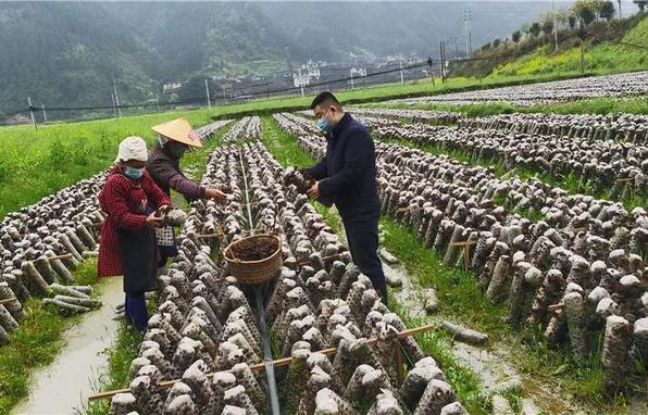 “村看村，戶看戶，群眾看黨員，黨員看干部”