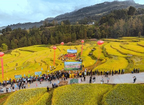 包頭市固陽縣銀號鎮(zhèn)東元永村集體經(jīng)濟林綜合項目規(guī)劃圖