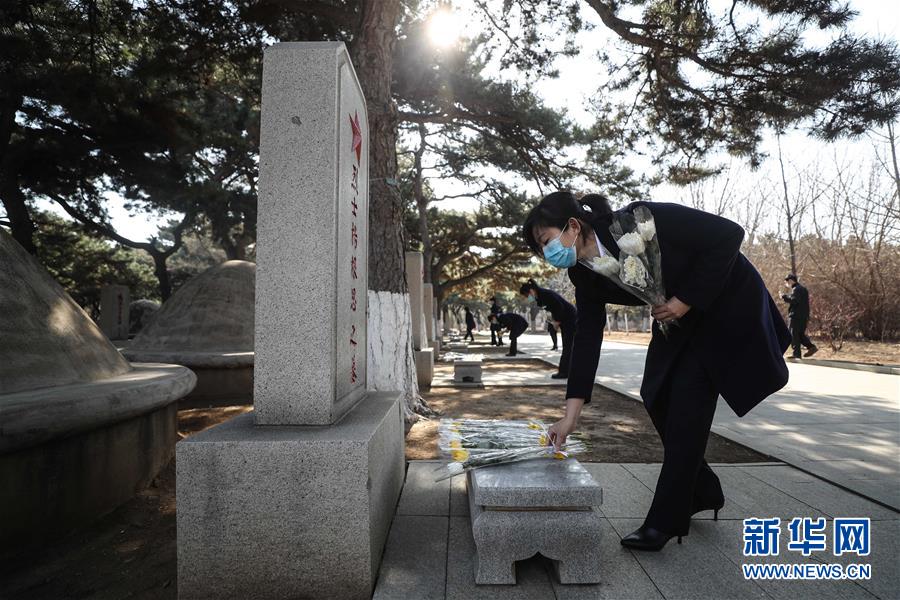 穿越時空的思念——社會各界祭奠抗美援朝英烈側記