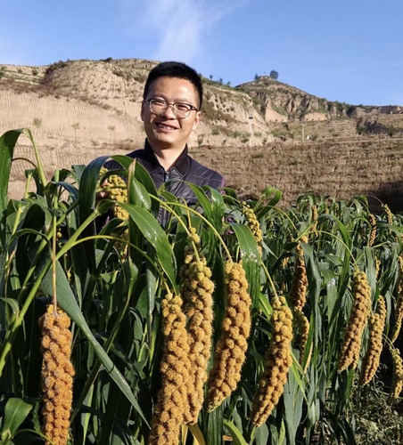 如今，手工掛面和米脂小米成了不少在外陜北人思鄉(xiāng)產(chǎn)品的首選，也是很多外鄉(xiāng)人認識陜北美食的“敲門磚”。
