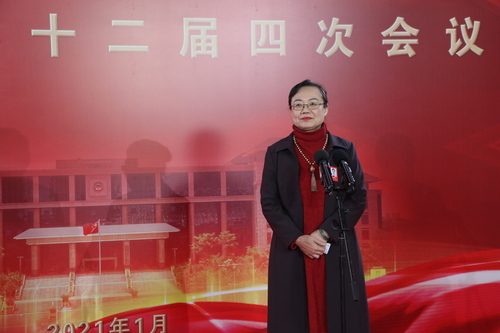 廣西壯族自治區政協委員、自治區婦聯副主席陳映紅  肖亮升攝