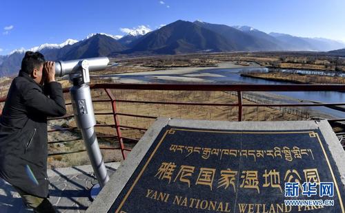 　　一名游客借助望遠鏡觀看西藏雅尼國家濕地公園的景色（2月2日攝）。