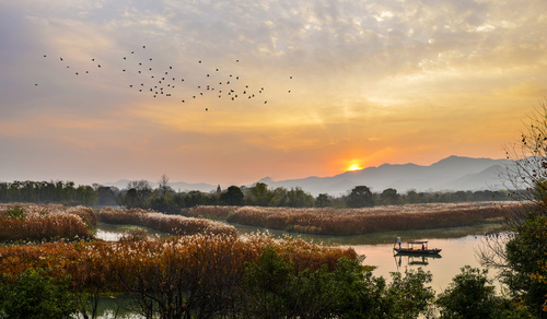 3 西溪國家濕地公園 日出 鄭從禮 攝(87773)-20210204085417