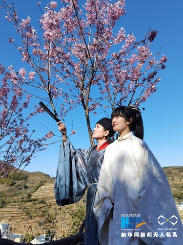 7漢服愛好者在櫻花樹下賞櫻。新華網(wǎng)發(fā)（夏海濱 攝）