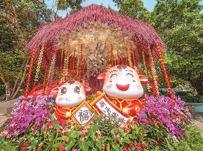 　澳門街頭的生肖牛造型花壇。