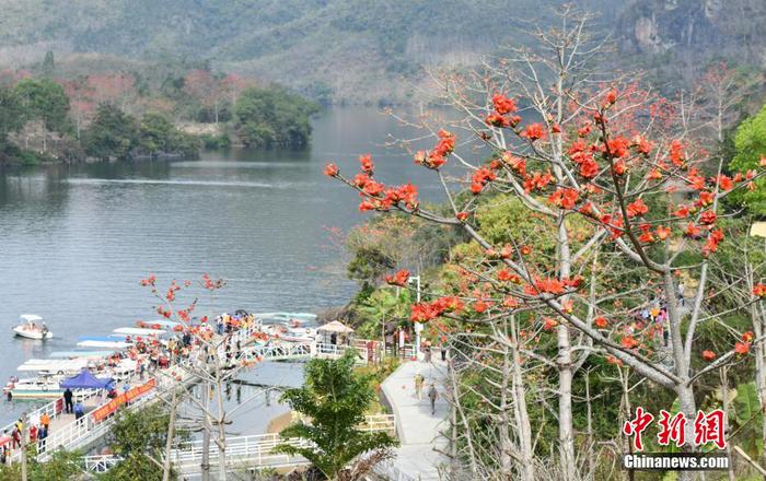 　圖為游客在昌江黎族自治縣七叉鎮尼下碼頭乘船觀賞昌化江兩岸的木棉花。 尹海明 攝