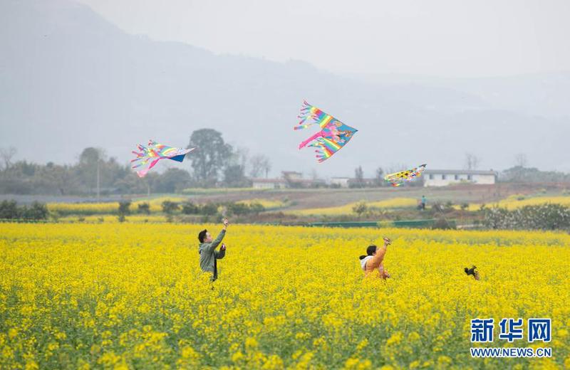 2月27日，游客在成都市金堂縣三溪鎮長林村油菜花田里放風箏。