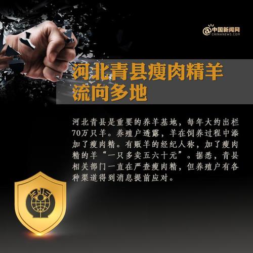 制圖：中新網(wǎng) 王伊萌 趙曉倩