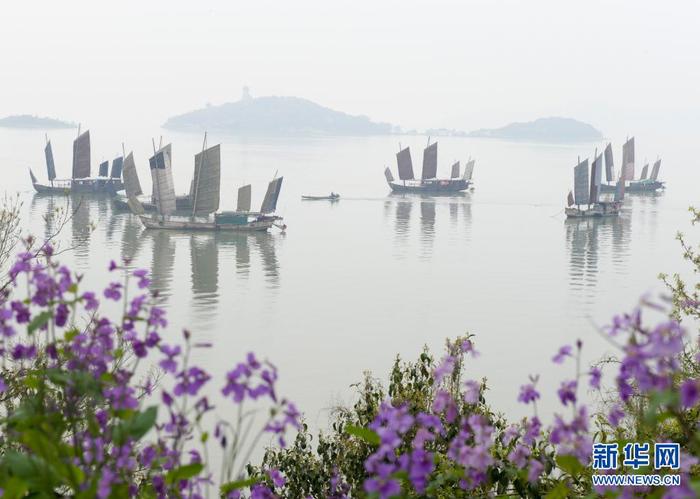 4月7日清晨，江蘇無錫太湖出現(xiàn)晨霧，幾艘帆船停在水面，與岸邊的鮮花相映成趣。