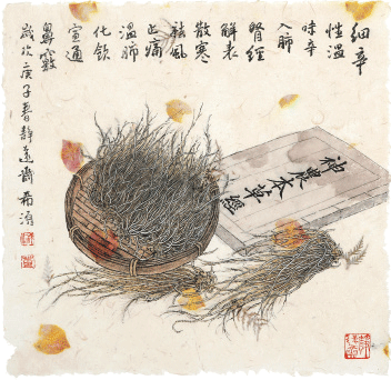 細-辛-董希源