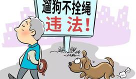 一案一說 | 行人被寵物狗驚嚇?biāo)さ?，狗主人要?dān)責(zé)嗎？