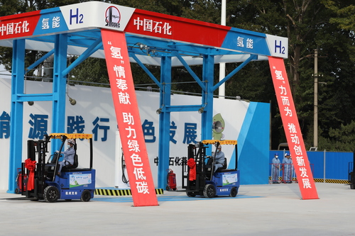 網稿+攝影部投稿+生態新聞(598184)-20211008162406