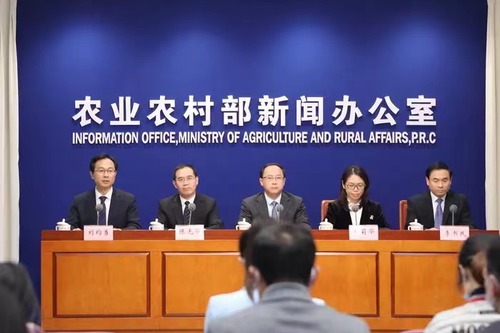 圖說：11月4日， 農(nóng)業(yè)農(nóng)村部舉行新聞發(fā)布會，介紹今冬明春重要農(nóng)產(chǎn)品生產(chǎn)保供情況。會上有關(guān)負責人介紹說，我國糧食產(chǎn)量豐、庫存足，供給完全有保障。