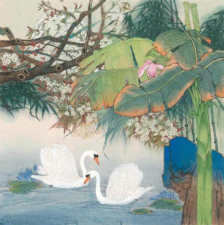 天-鵝-170×170cm--薛-亮
