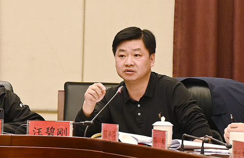 區政協委員汪碧剛發言(1035319)-20220425165440