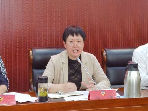 東城區政協黨組副書記、副主席劉健匯報東城區政協貫徹落實中央、市委政協工作會議精神的進展情況