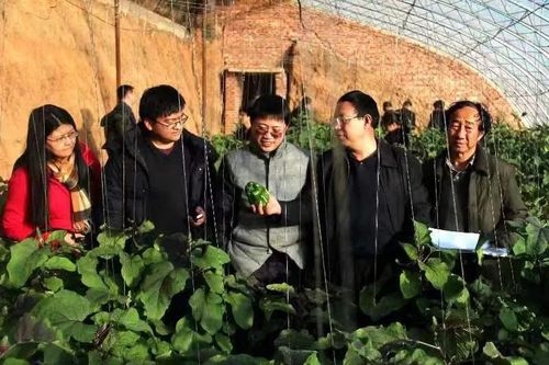 △2016年，趙永華帶隊赴赤峰市寧城縣設施農業增施二氧化碳種植戶調研，并向調研人員和種植戶講解二氧化碳氣肥的作用。