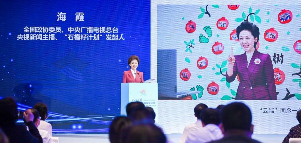  2022年中國網(wǎng)絡(luò)文明大會數(shù)字公益慈善發(fā)展論壇在天津舉辦