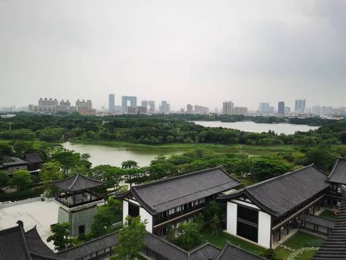 海珠濕地(2933419)-20230907094024