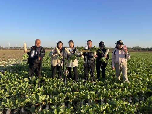安陽市文峰區“安邦助農團”新媒體從業人員組織開展直播帶貨活動，幫助菜農銷售滯銷蔬菜。