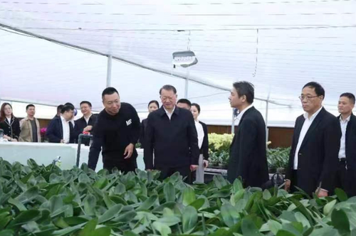微信截圖_20240612170357