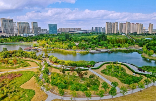 頭條配圖：城市綠色發展 秋日生態如畫）(5615261)-20241101095446
