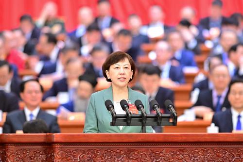 全國政協常委司馬紅：產業賦能，做強臨空特色高端產業群