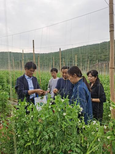 走進(jìn)田園(分離圖)李寶聚（左一）在云南紅(6020127)-20241227141307