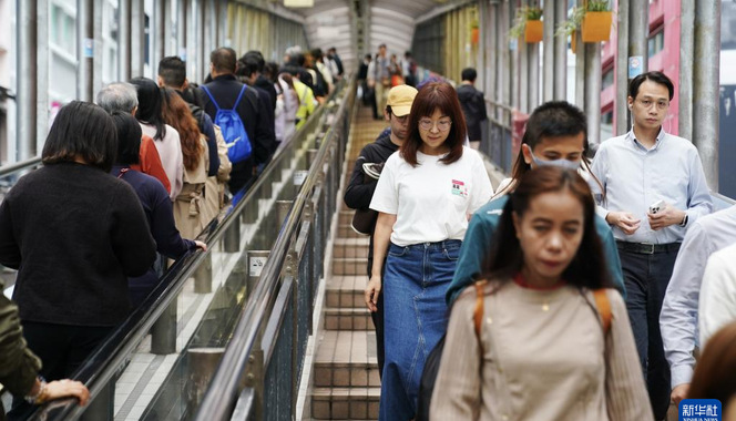 香港故事｜城跡尋蹤：市民導賞團領略香港魅力