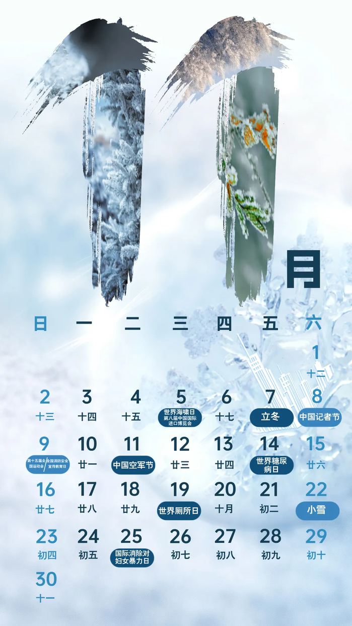 d995c86551d04f07b3ef63b950872dd3
