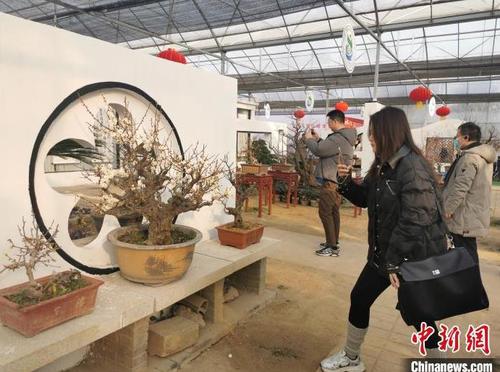 360截圖20250126093147656