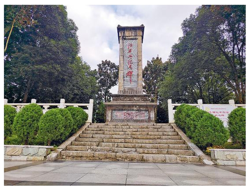 微信截圖_20250207090700